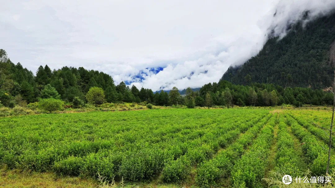 好家伙，这条鲜为人知的路集合了所有藏地美景