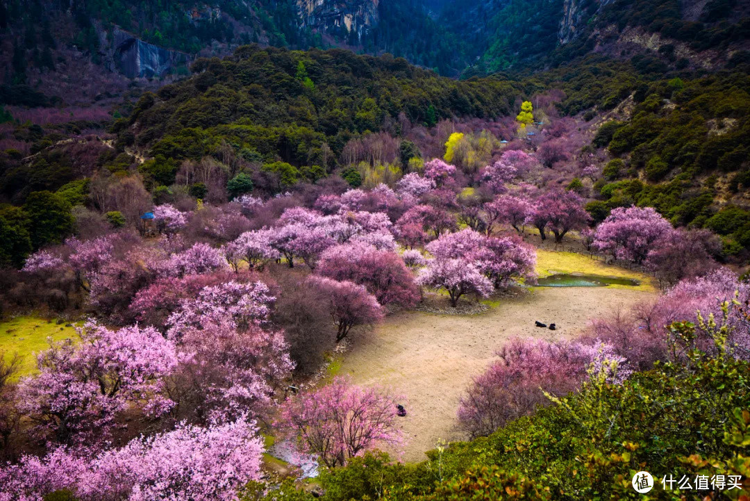 好家伙，这条鲜为人知的路集合了所有藏地美景