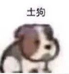 别再往几百万买的房子里,堆一些廉价出租风的家具了!