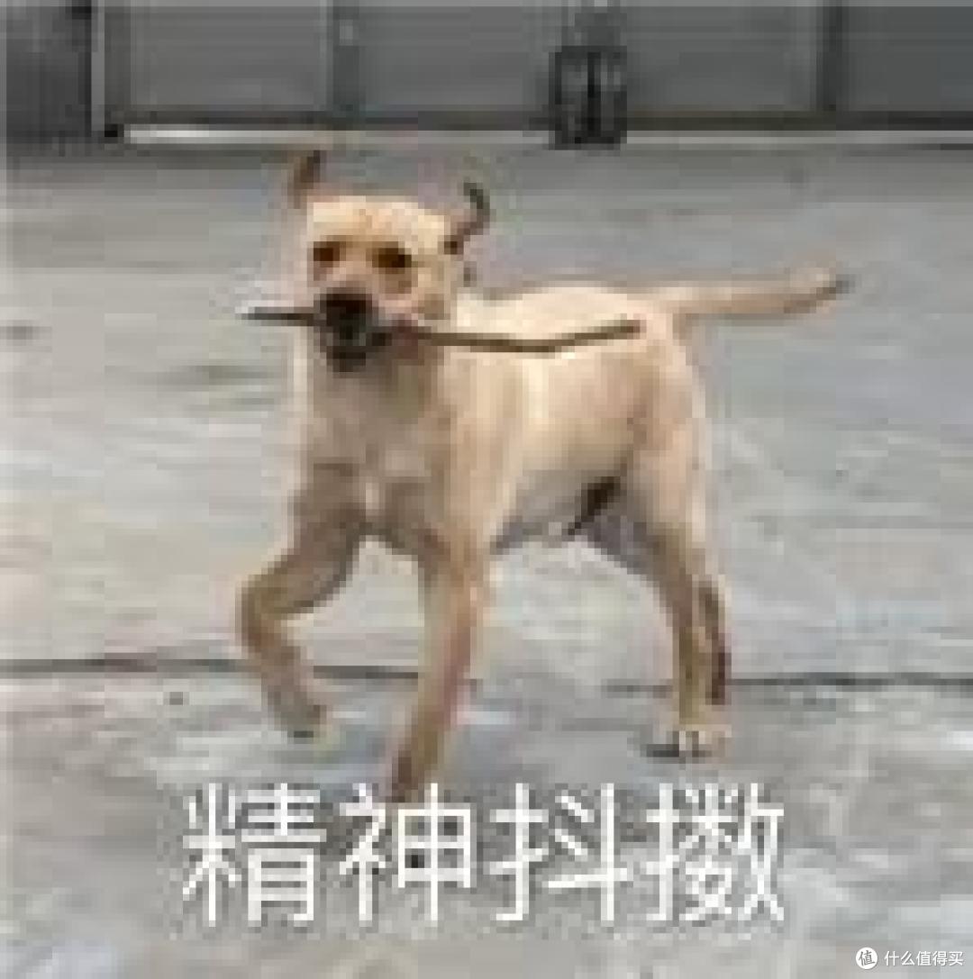 别再往几百万买的房子里,堆一些廉价出租风的家具了!