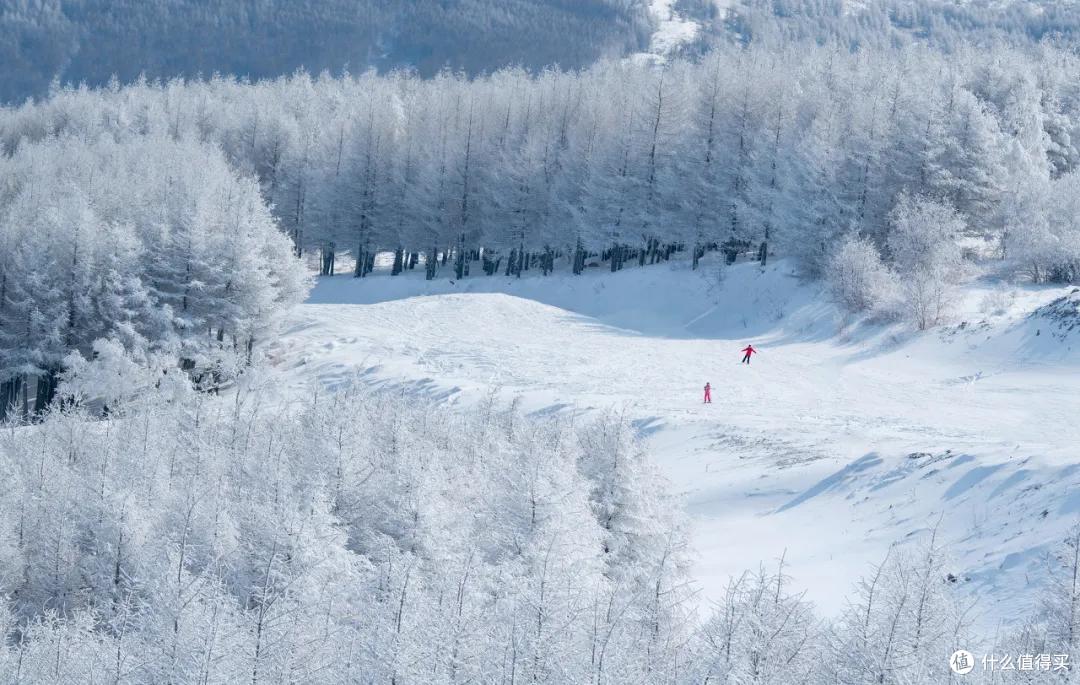 今年冬天怎么玩?最全滑(玩)雪攻略来了