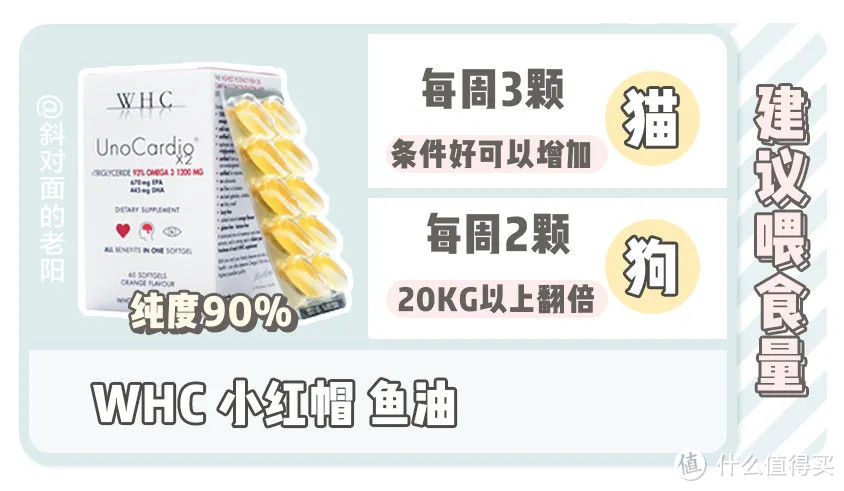 双11狗狗攻略 | 吃的用的全都有！