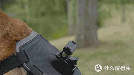 大疆Action 2运动相机性能测试及极限测试