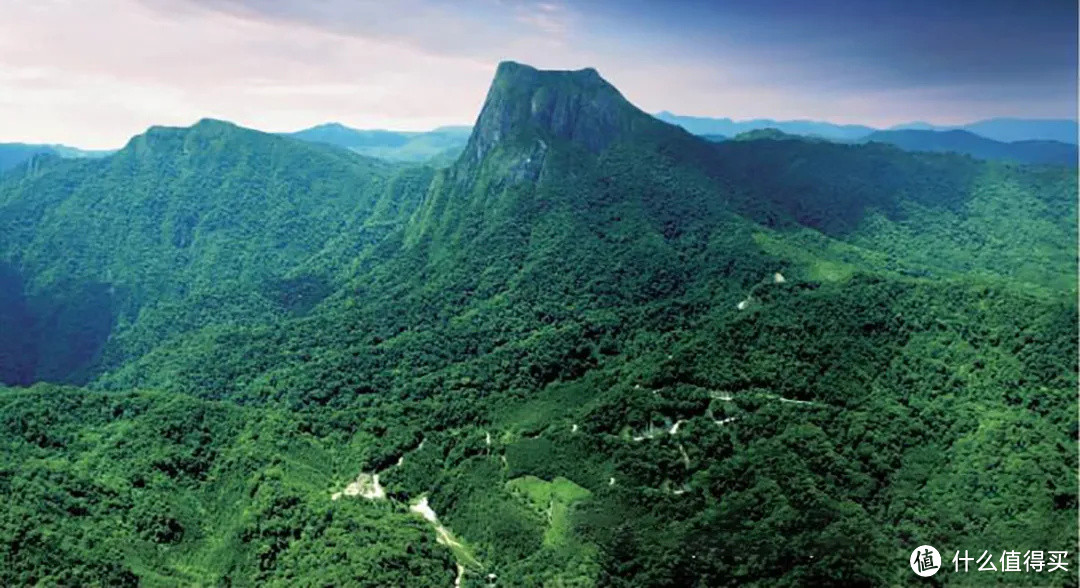 海南热带雨林尖峰岭主峰 ©海南热带雨林国家公园管理局