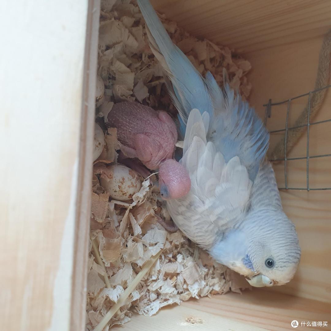 、