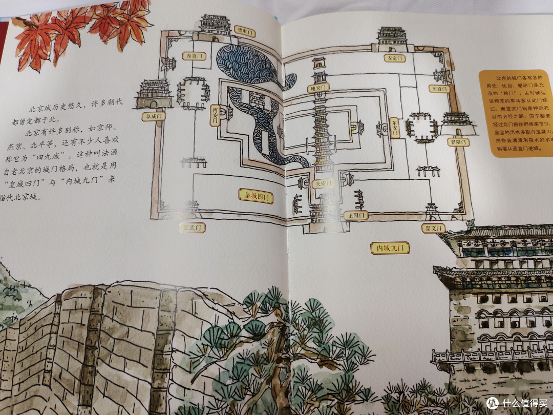 又是一年双十一,6本/套科普类优质童书推荐