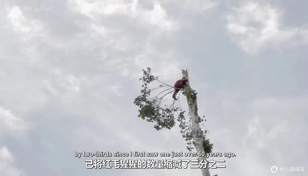 豆瓣9.4,他所有的片子,都想打满分...