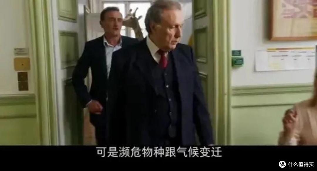 这是什么神仙电影,太好看了!