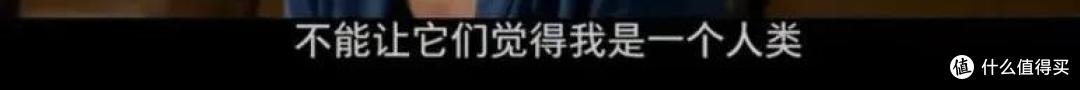 这是什么神仙电影,太好看了!