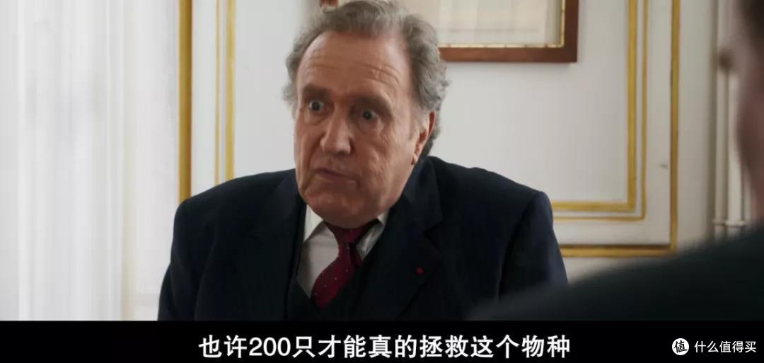 这是什么神仙电影,太好看了!