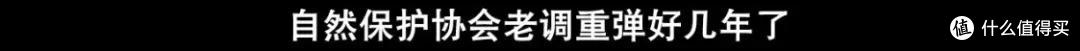 这是什么神仙电影,太好看了!