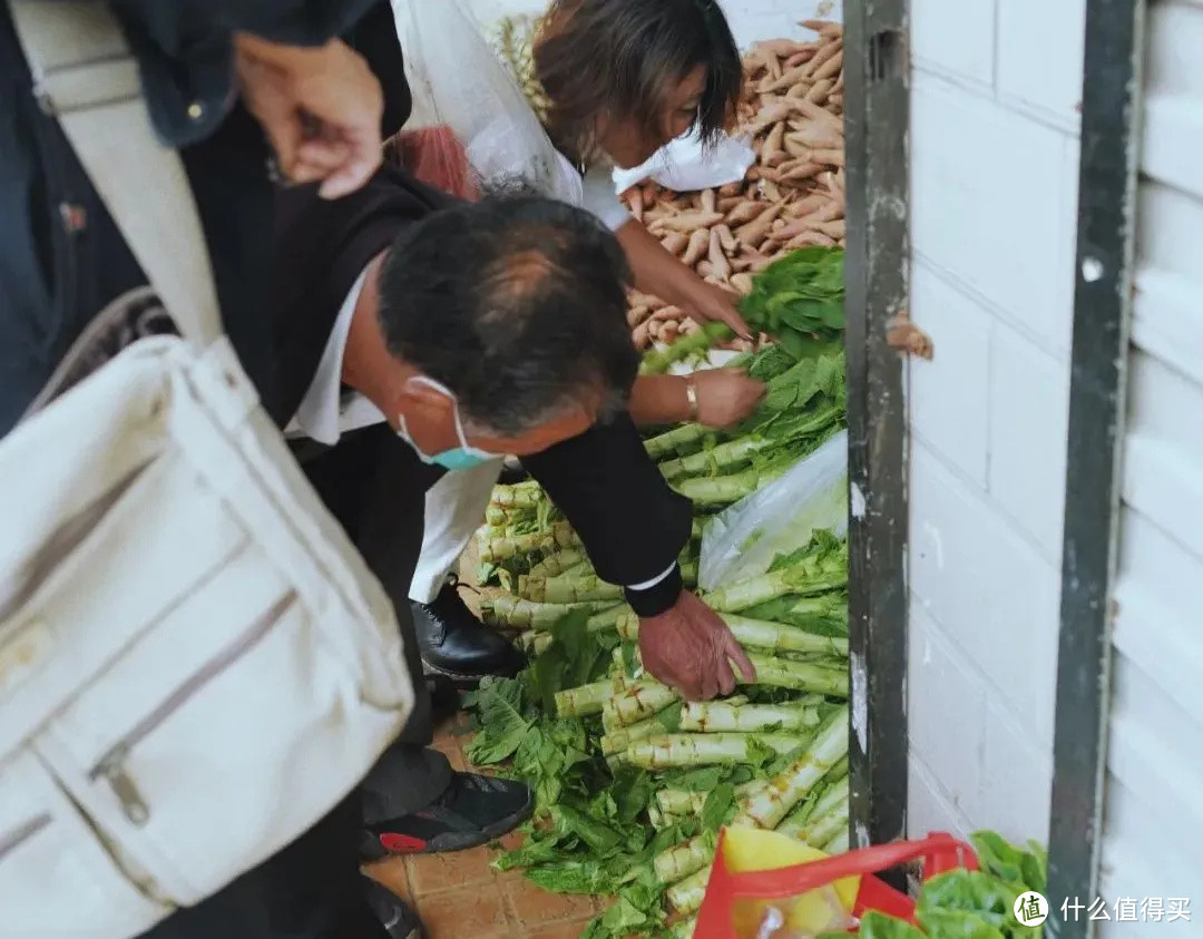 苏州最有人气的菜市场到底能有多好逛（吃）？