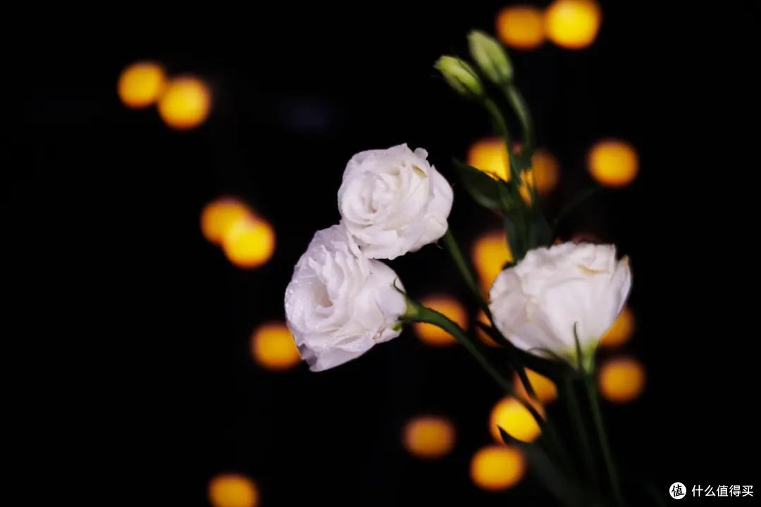 F0.95