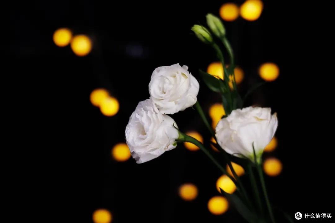 F1.4