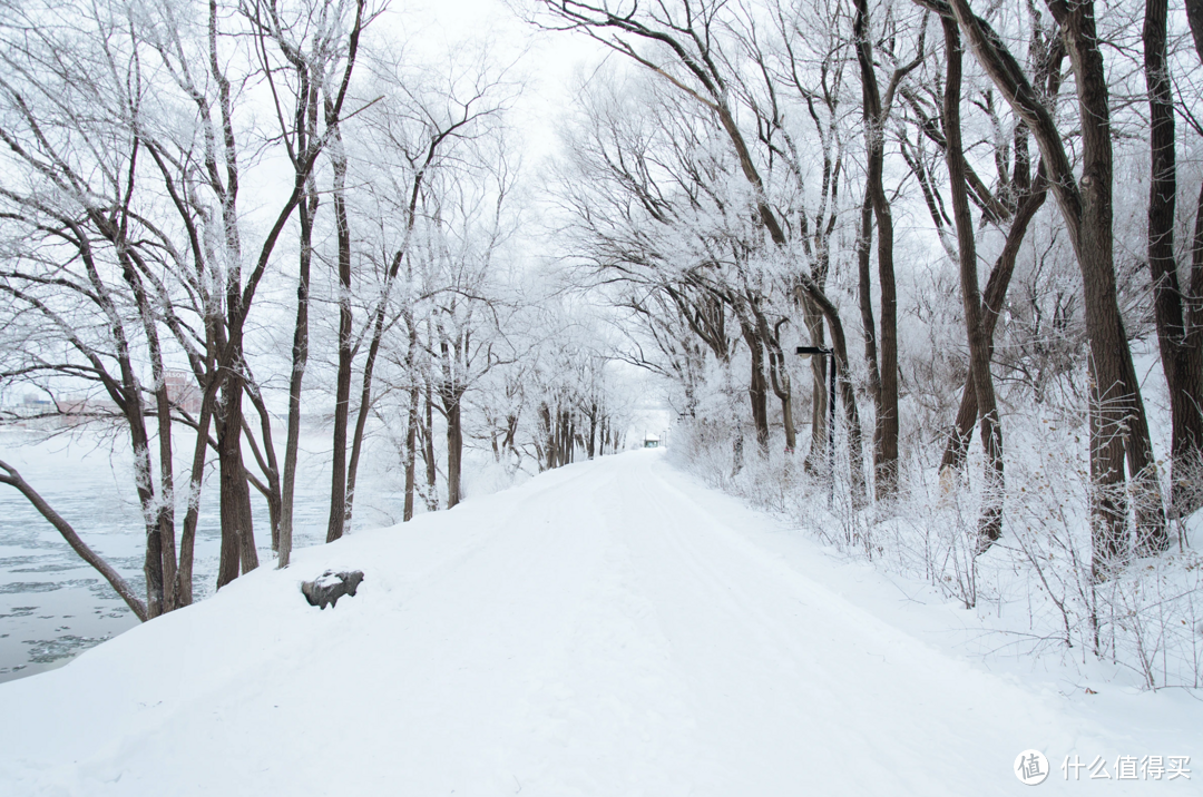 冬季摄影，器材先行---老纪的雪景、风景摄影器材选购清单，附赠让你摄影作品加分的拍摄小贴士