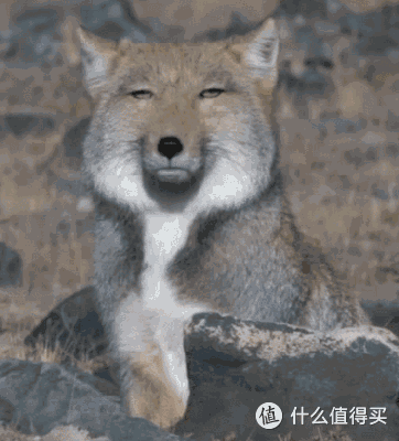 双十一购物分享—平凡上班族的低成本喝现磨咖啡攻略