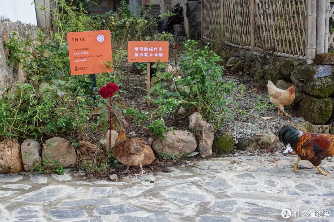 这可能是我去过最“土”的艺术节