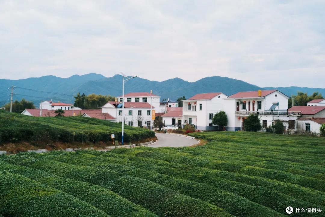 这可能是我去过最“土”的艺术节