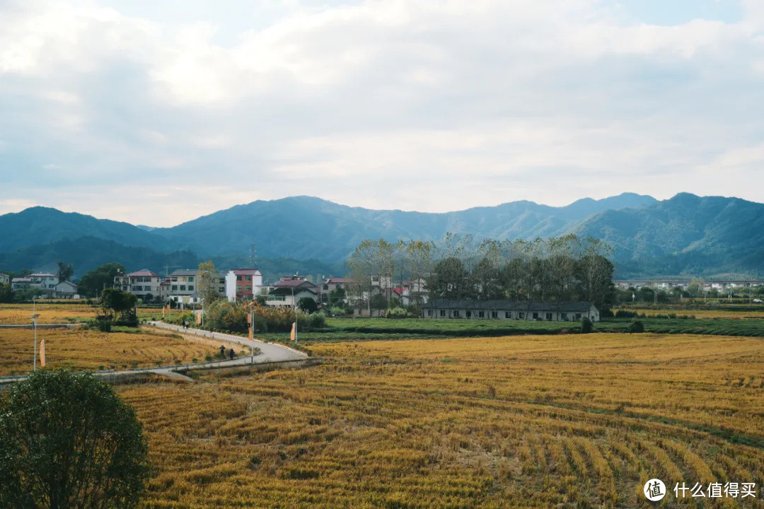 这可能是我去过最“土”的艺术节