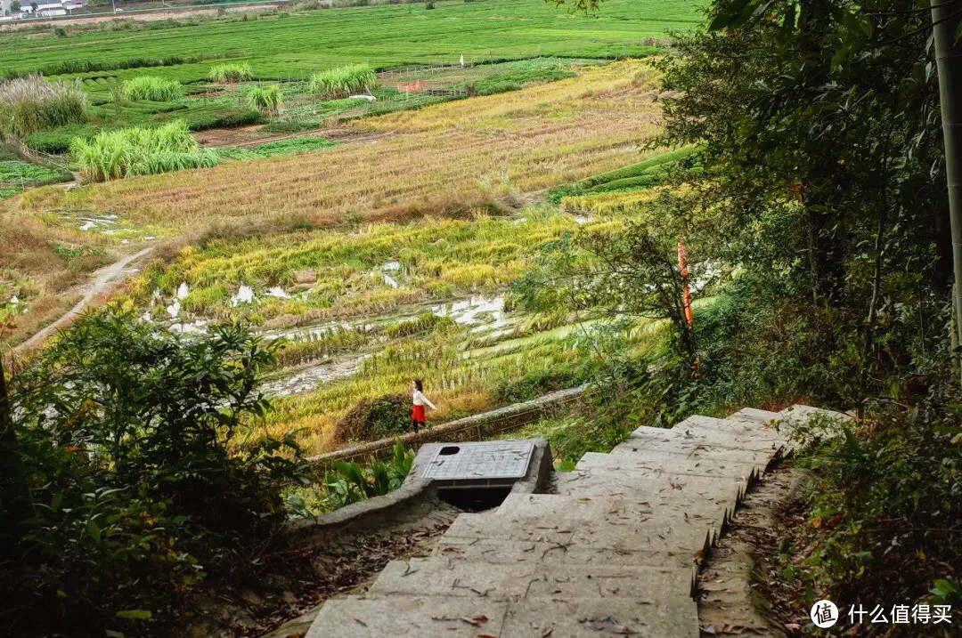 这可能是我去过最“土”的艺术节