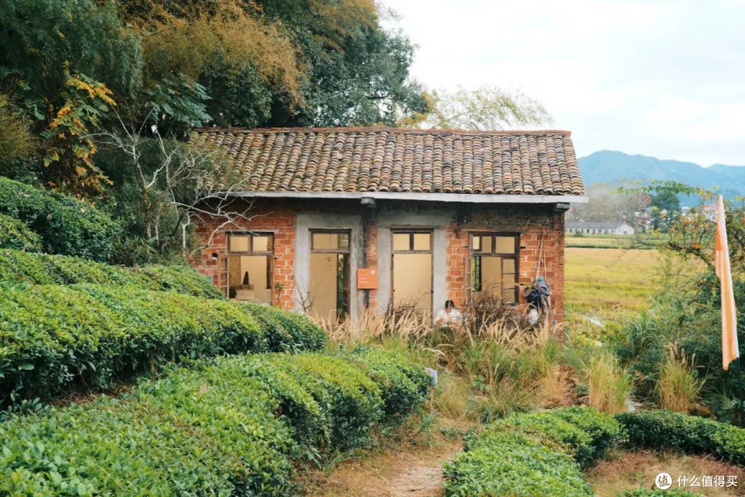 这可能是我去过最“土”的艺术节