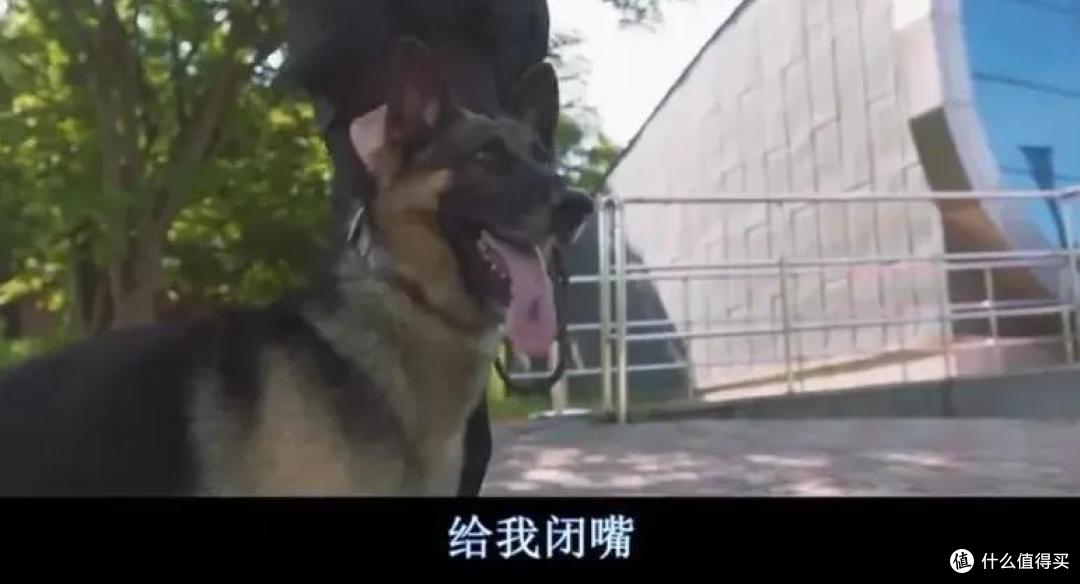 笑到打鸣! 这部电影的脑洞可真大
