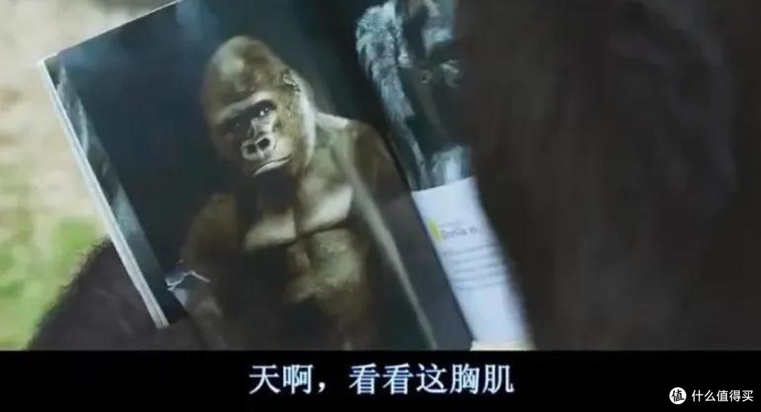 笑到打鸣! 这部电影的脑洞可真大