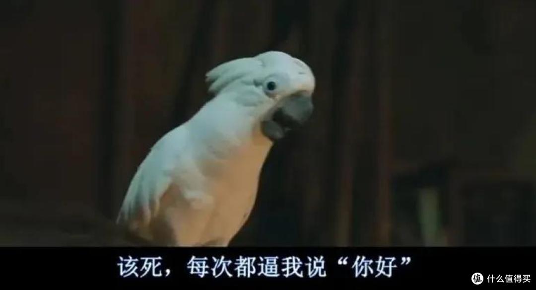 笑到打鸣! 这部电影的脑洞可真大