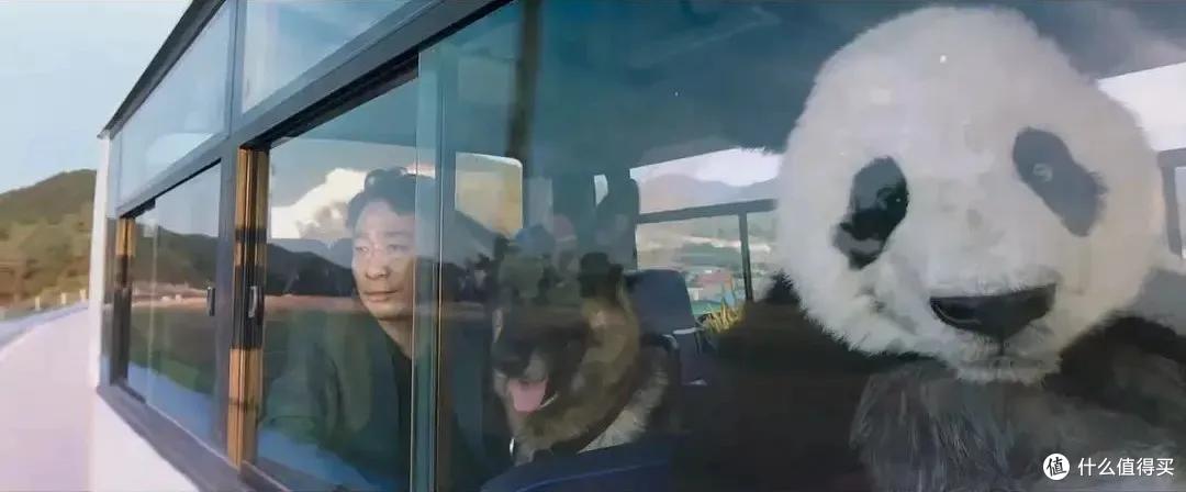笑到打鸣! 这部电影的脑洞可真大