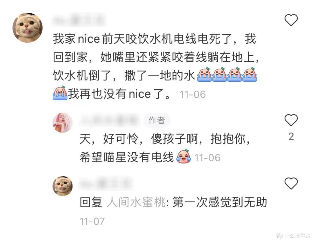 养猫狗家庭的装修避坑细节,人宠和谐共处的美好生活你值得拥有!