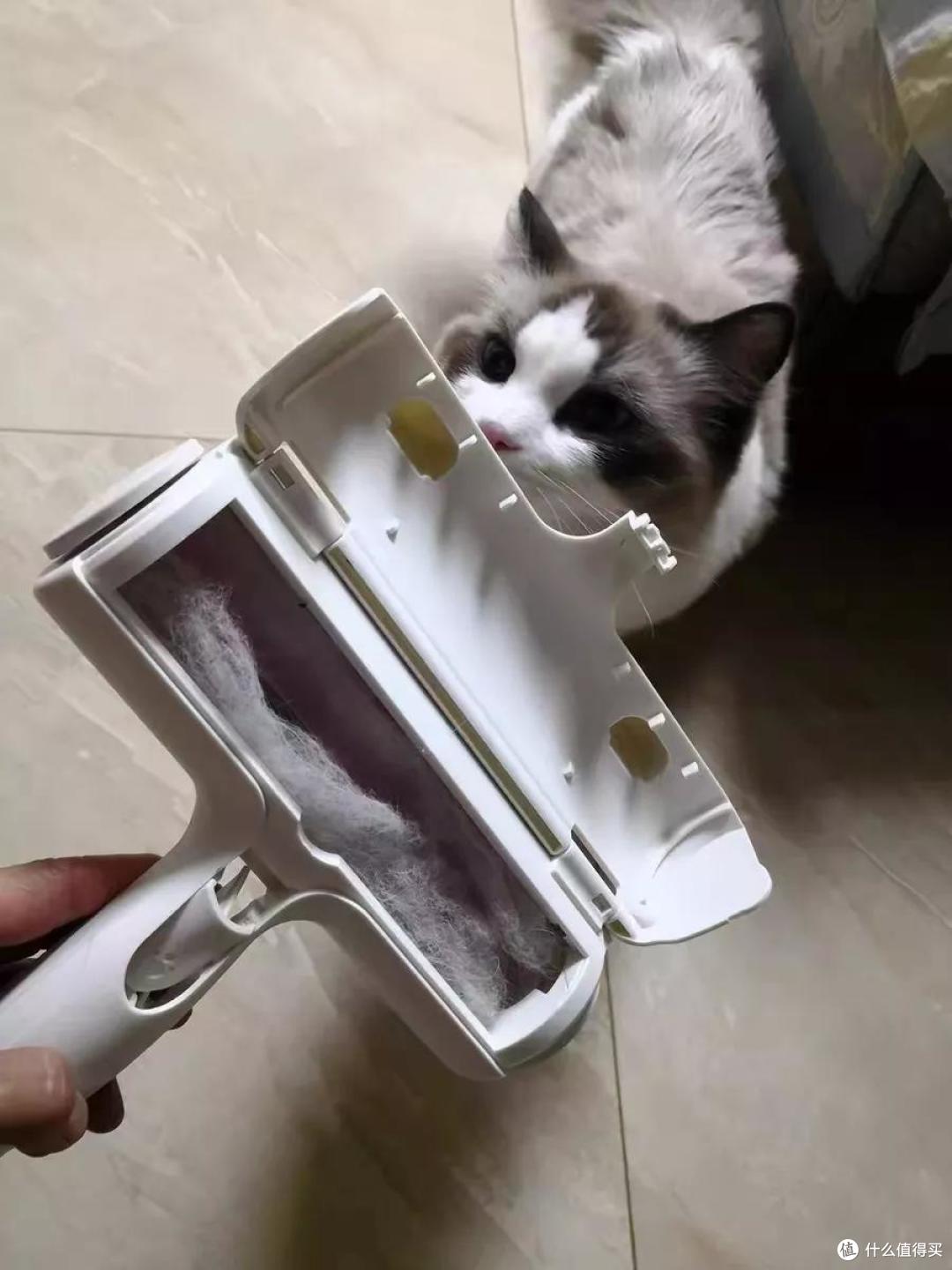 养猫狗家庭的装修避坑细节,人宠和谐共处的美好生活你值得拥有!