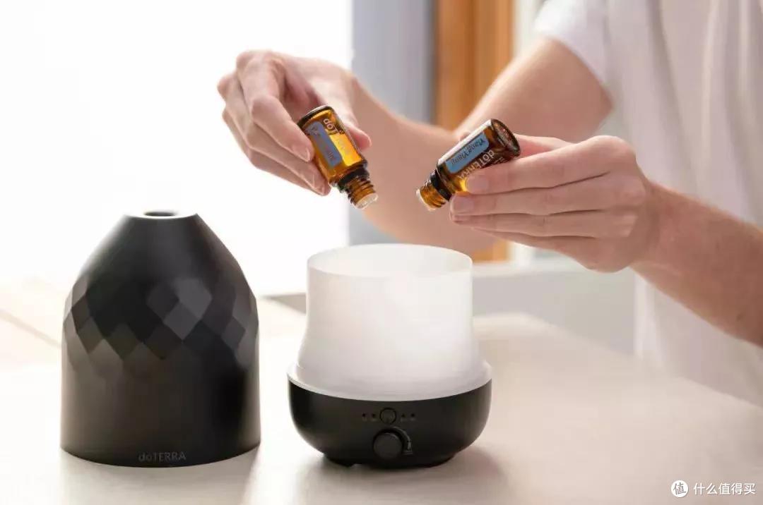 养猫狗家庭的装修避坑细节,人宠和谐共处的美好生活你值得拥有!