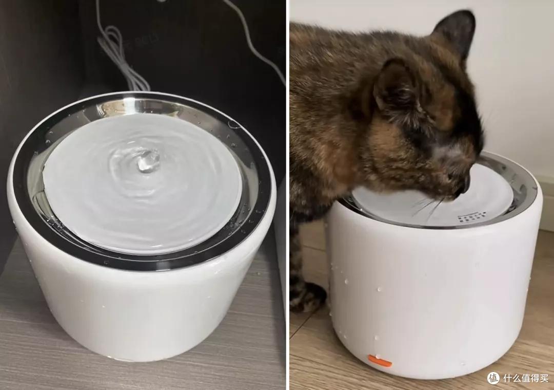 养猫狗家庭的装修避坑细节,人宠和谐共处的美好生活你值得拥有!