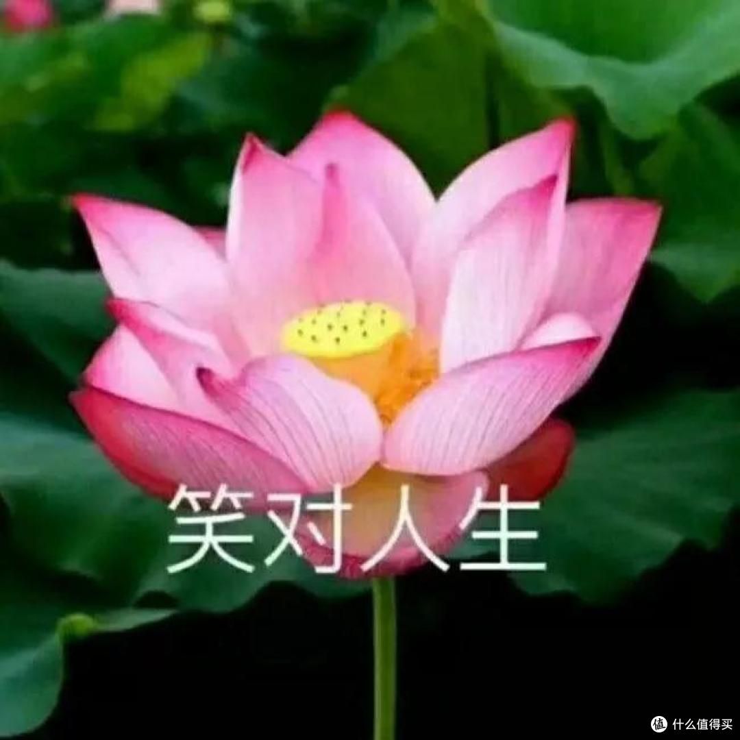 低血压十几年,装修一次全都治好了
