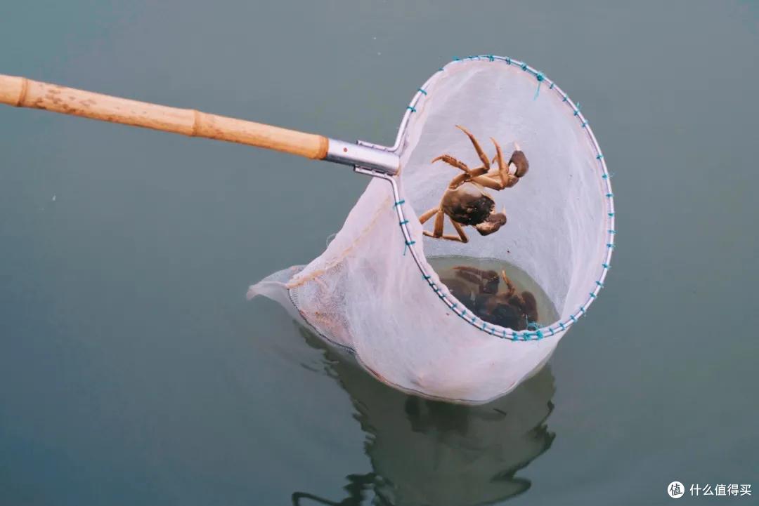 阳澄湖畔英(DA)迪(ZHA)格(XIE)