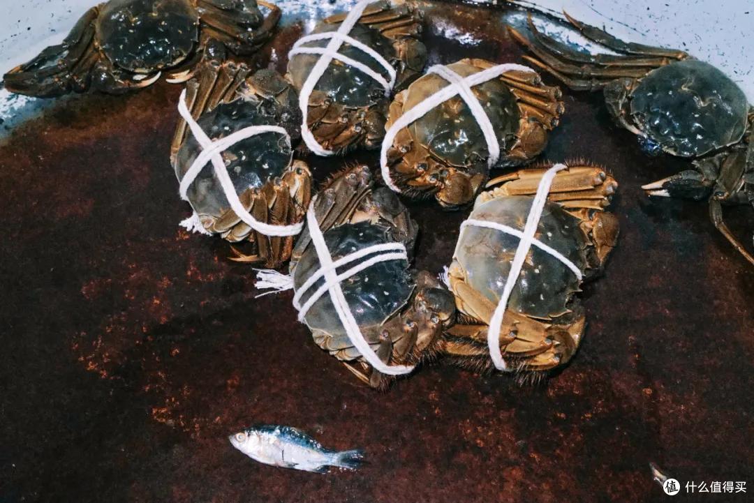 阳澄湖畔英(DA)迪(ZHA)格(XIE)