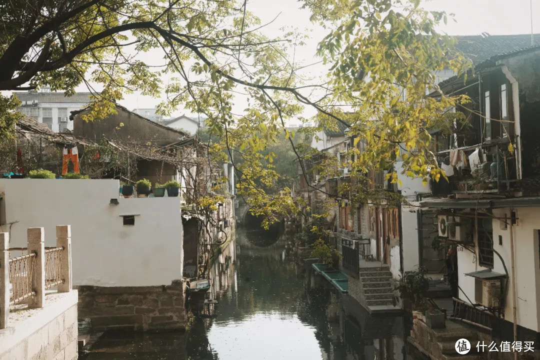 遍地小酒馆，这座城市的深秋属于醉蟹与黄酒