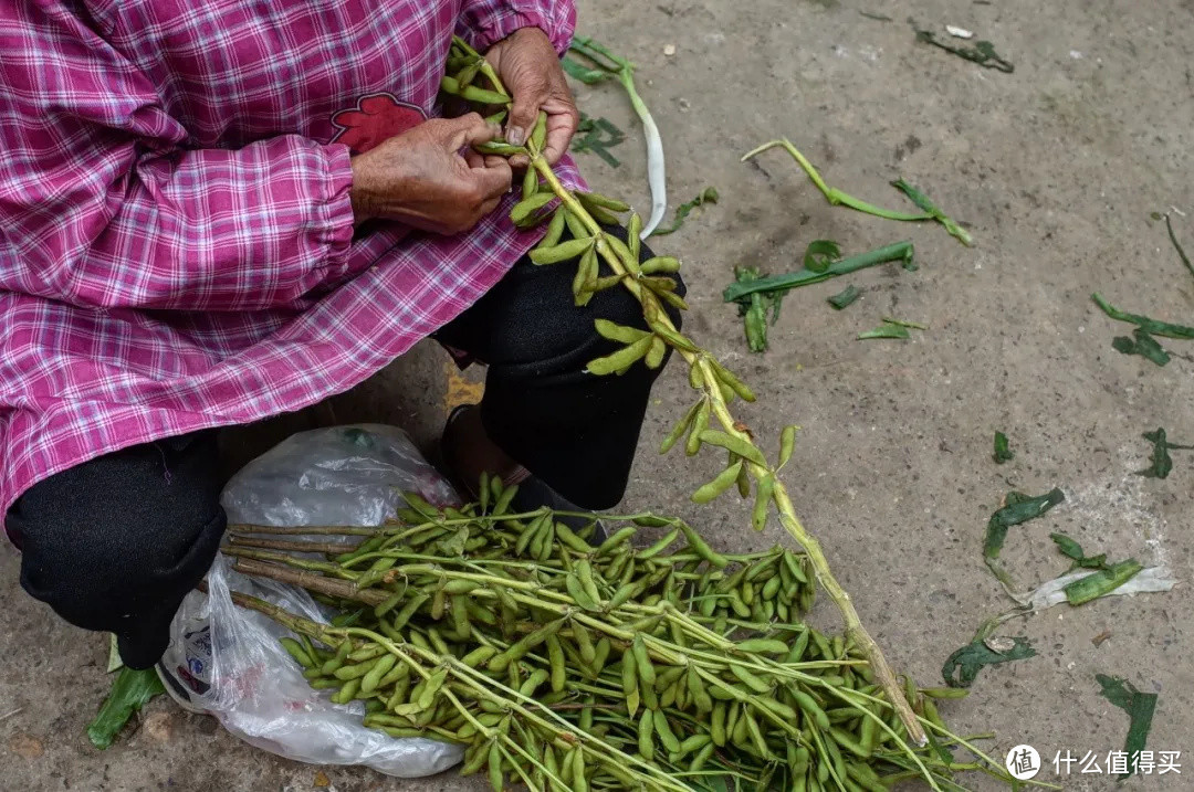 飘了，反套路的“硬核市集”给我找到了