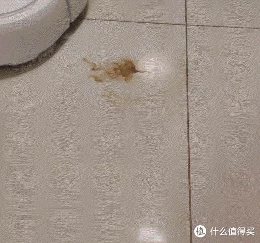 真用过才敢说好，这些拥有黑科技的家电好物不得不说