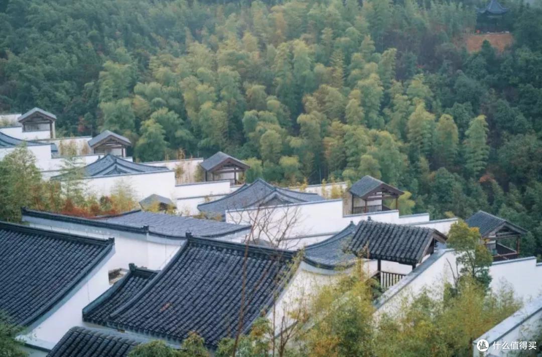 要问江浙沪周边游去哪儿?我第一个想到的是它