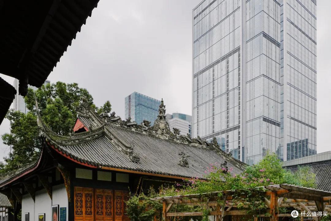 去成都，没在老茶馆里泡过怎么算数