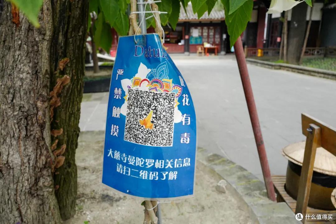 去成都，没在老茶馆里泡过怎么算数