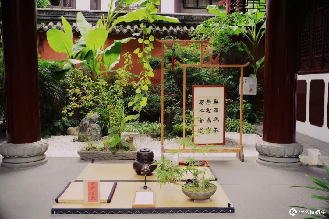 去成都，没在老茶馆里泡过怎么算数
