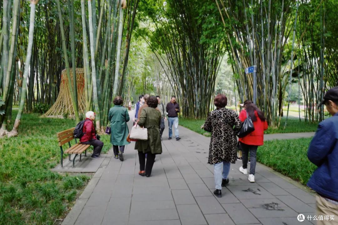 去成都，没在老茶馆里泡过怎么算数