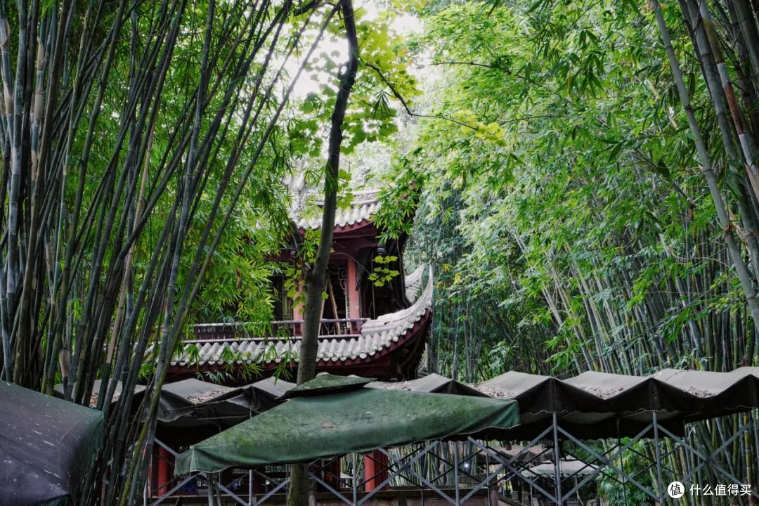 去成都，没在老茶馆里泡过怎么算数