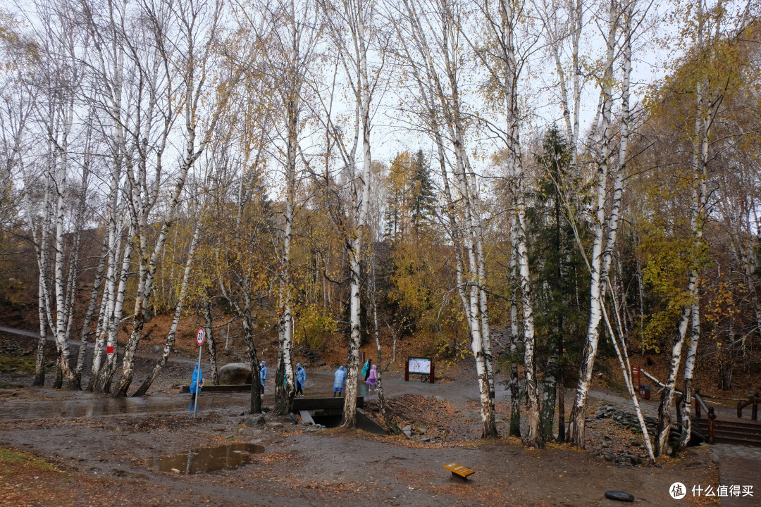 2021金秋南北疆9天精华游(喀什、塔县、盘龙古道、喀纳斯、禾木)