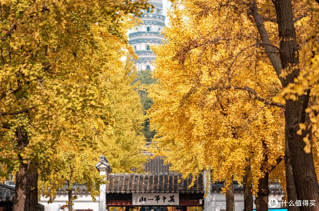 在魔都人民最爱的城市，太适合来一场City Walk