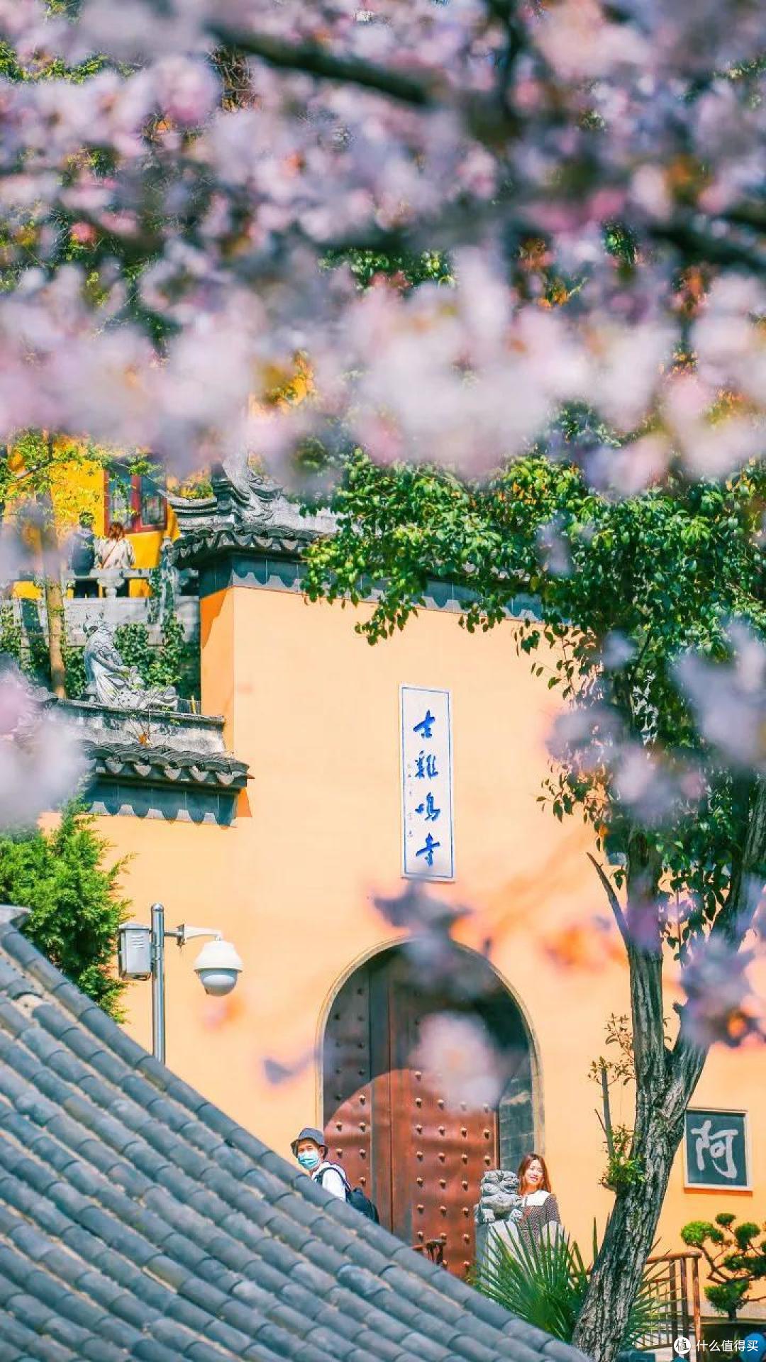 去了可能是国内最“壕”的佛教景区,一整个被惊住!