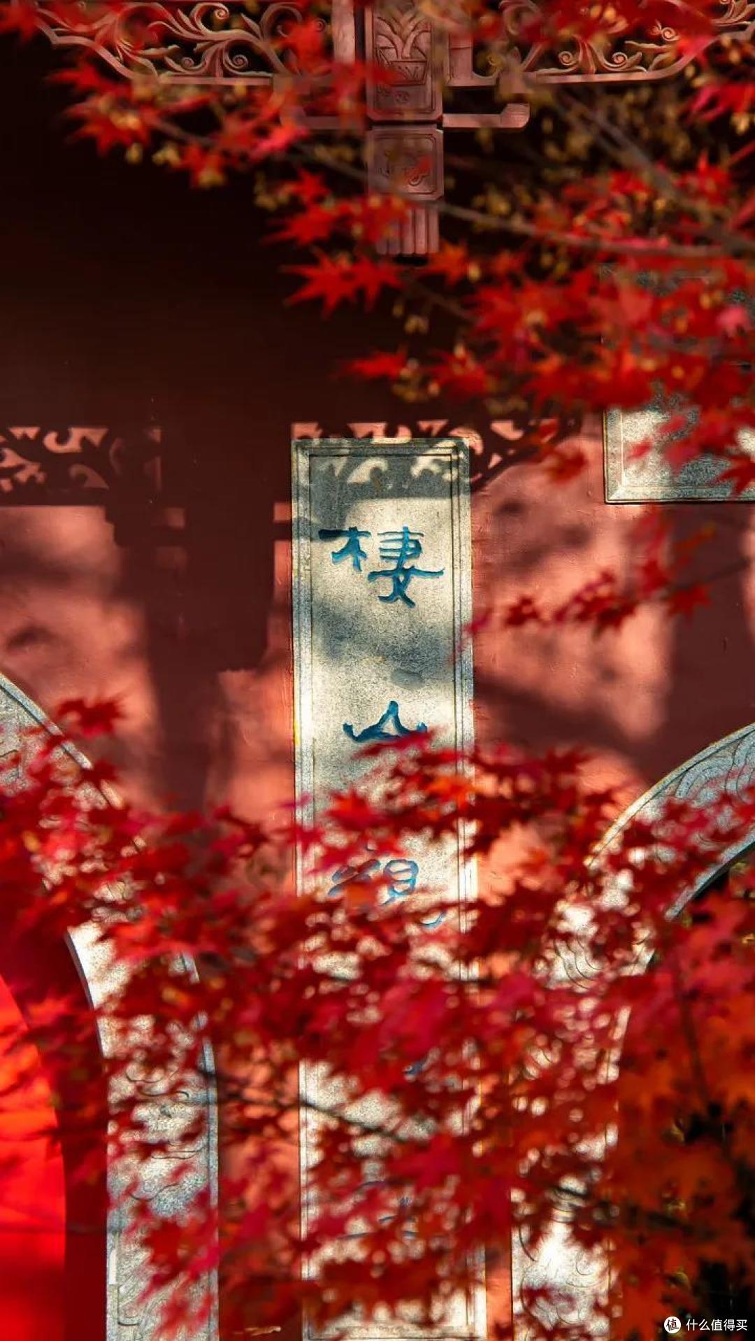 去了可能是国内最“壕”的佛教景区,一整个被惊住!