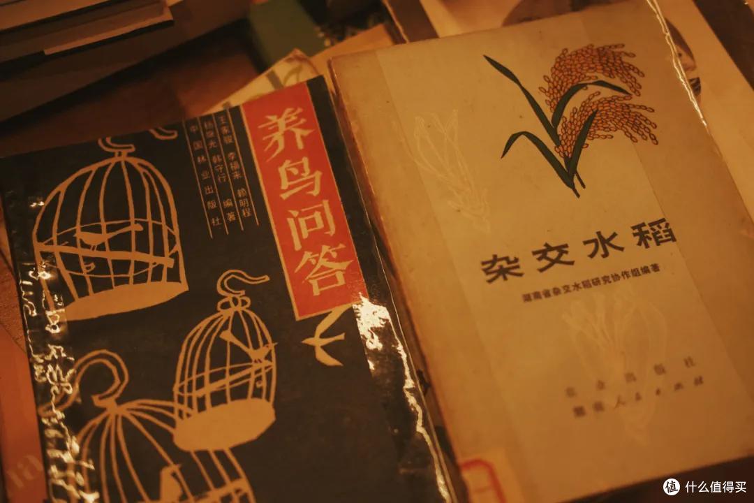 这座最懂生活的江南小城,究竟是怎么炼成的?